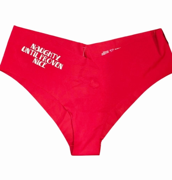 Aerie Naughty Until Proven Nice Cheeky Panties - Picture 1 of 4